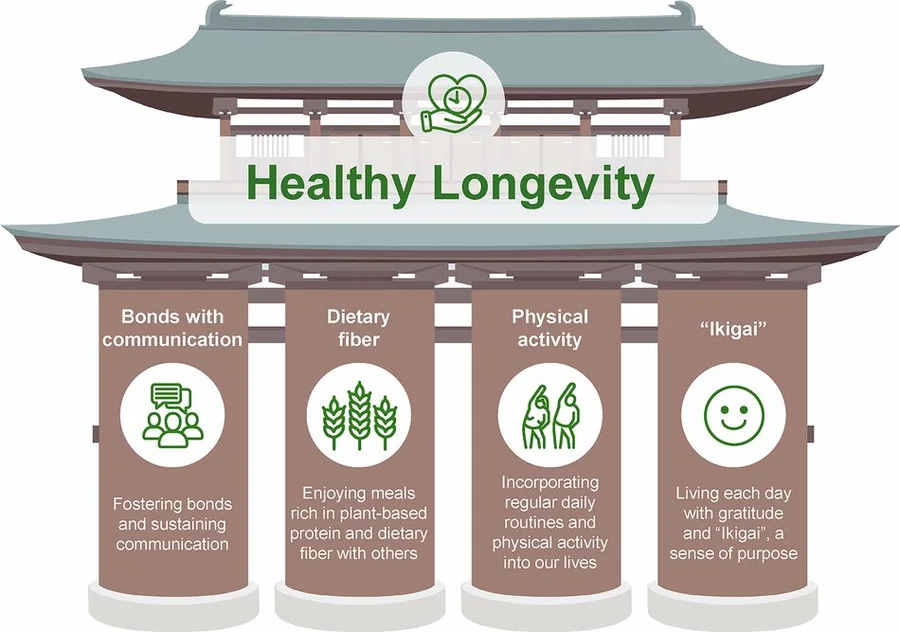 The four pillars of the Declaration from the 1st World Longevity Summit: bonds with communication, dietary fiber, physical activity and Ikigai